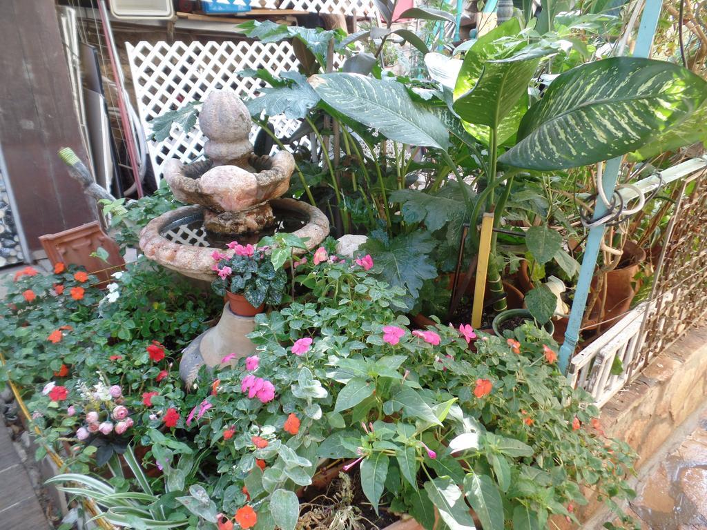 Cozy Garden Apartment เยรูซาเลม ภายนอก รูปภาพ