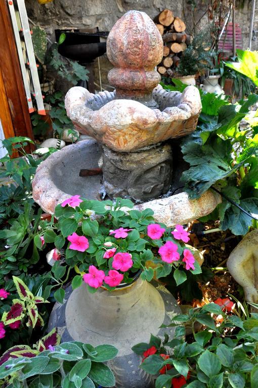 Cozy Garden Apartment เยรูซาเลม ภายนอก รูปภาพ