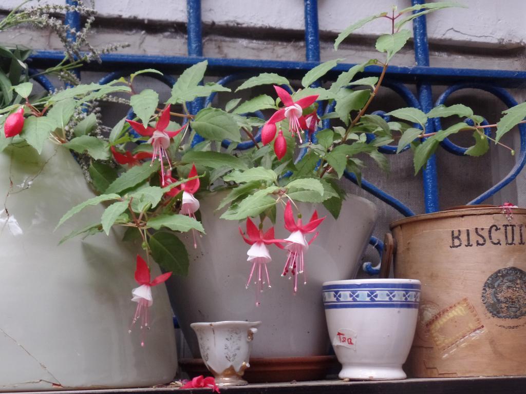 Cozy Garden Apartment เยรูซาเลม ภายนอก รูปภาพ