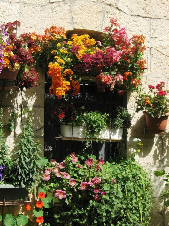Cozy Garden Apartment เยรูซาเลม ภายนอก รูปภาพ