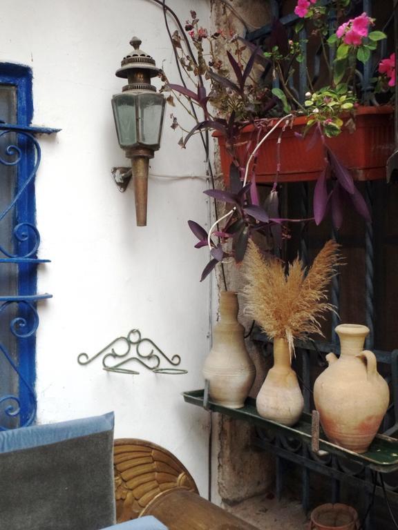 Cozy Garden Apartment เยรูซาเลม ภายนอก รูปภาพ
