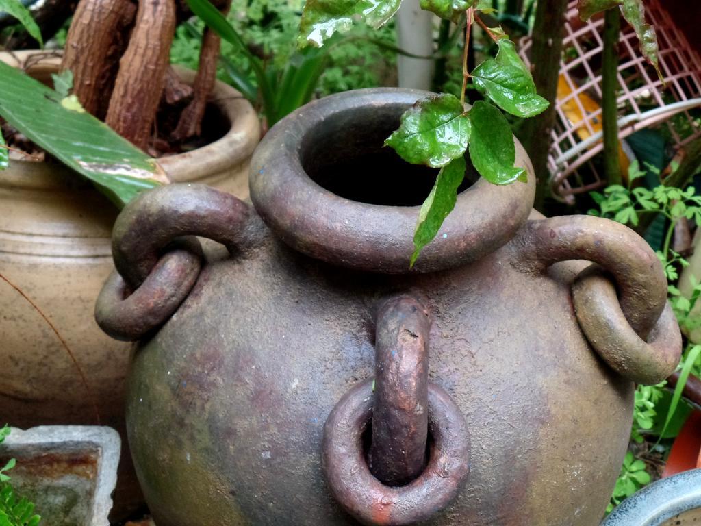 Cozy Garden Apartment เยรูซาเลม ภายนอก รูปภาพ
