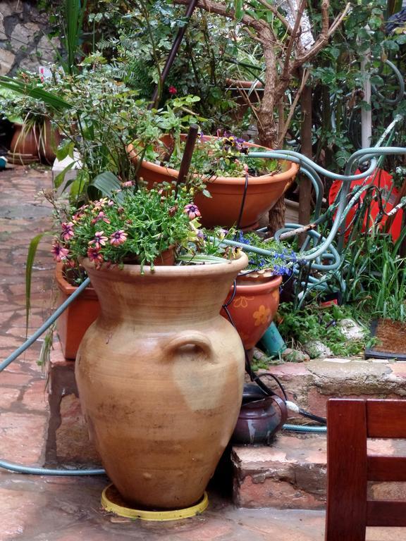Cozy Garden Apartment เยรูซาเลม ภายนอก รูปภาพ