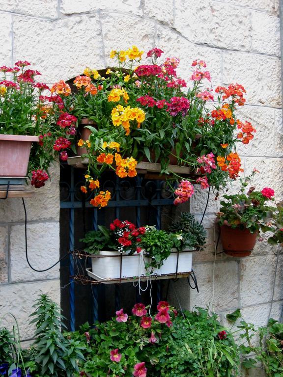 Cozy Garden Apartment เยรูซาเลม ภายนอก รูปภาพ